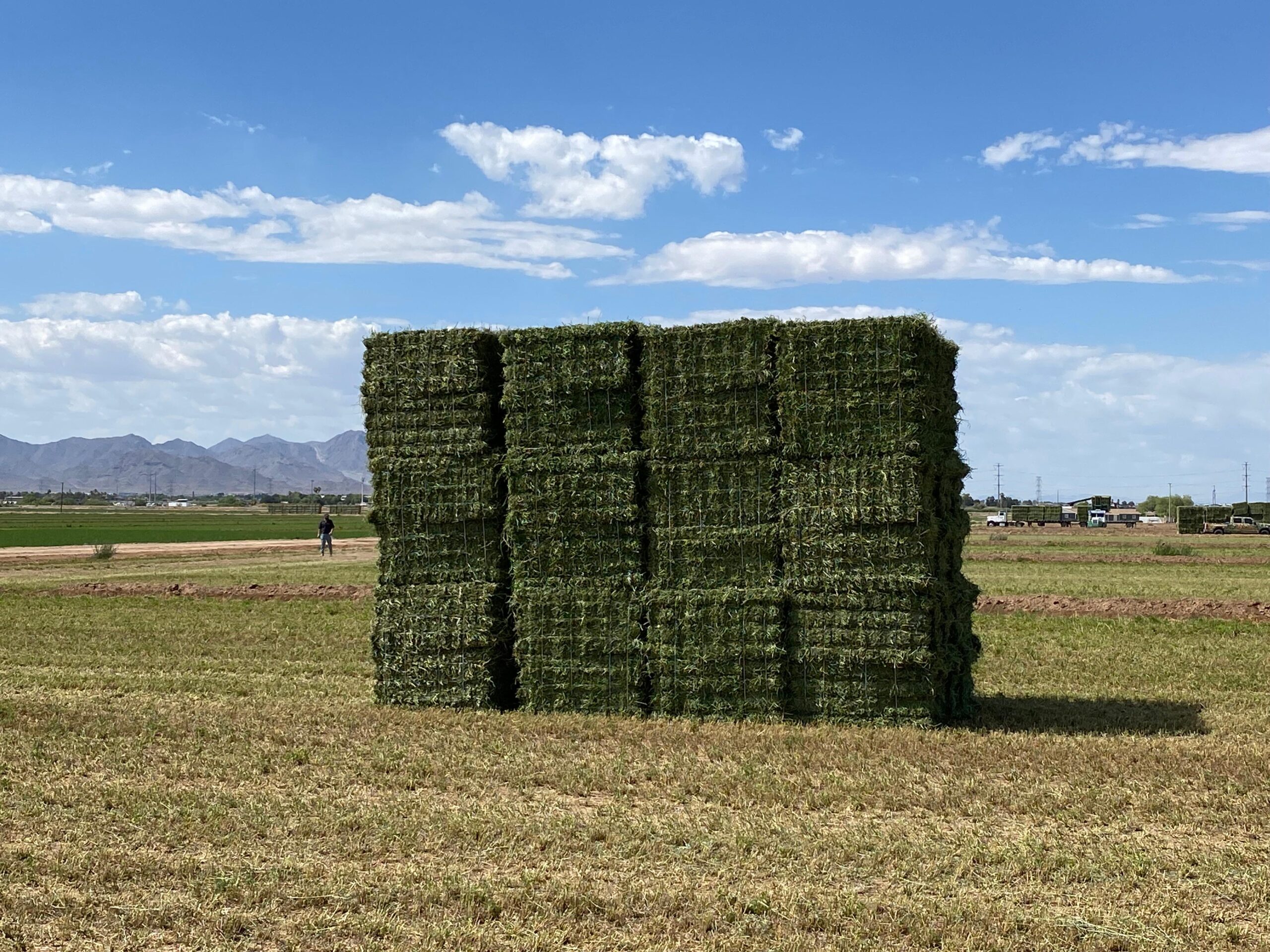 Bale Stacking by Arcusin