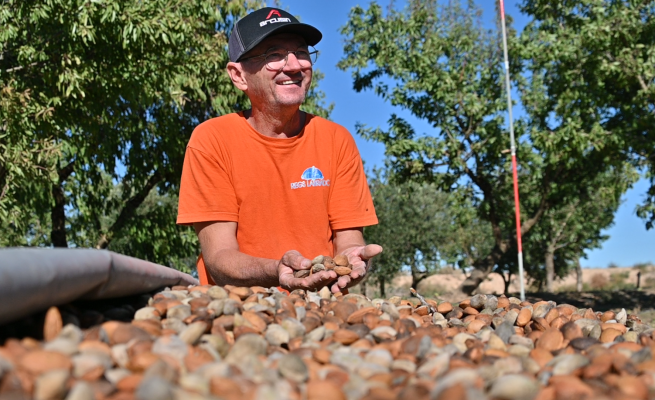 Disseny sense títol (11)